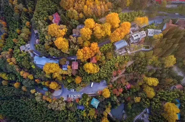 現代民宿酒店設計效果圖