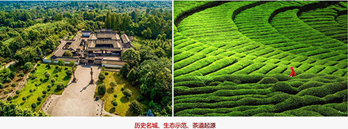 茶文化是歷史，設(shè)計源于何方